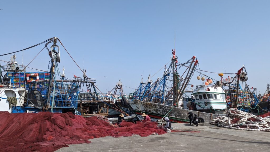 pxl 20240526 154859824.mp