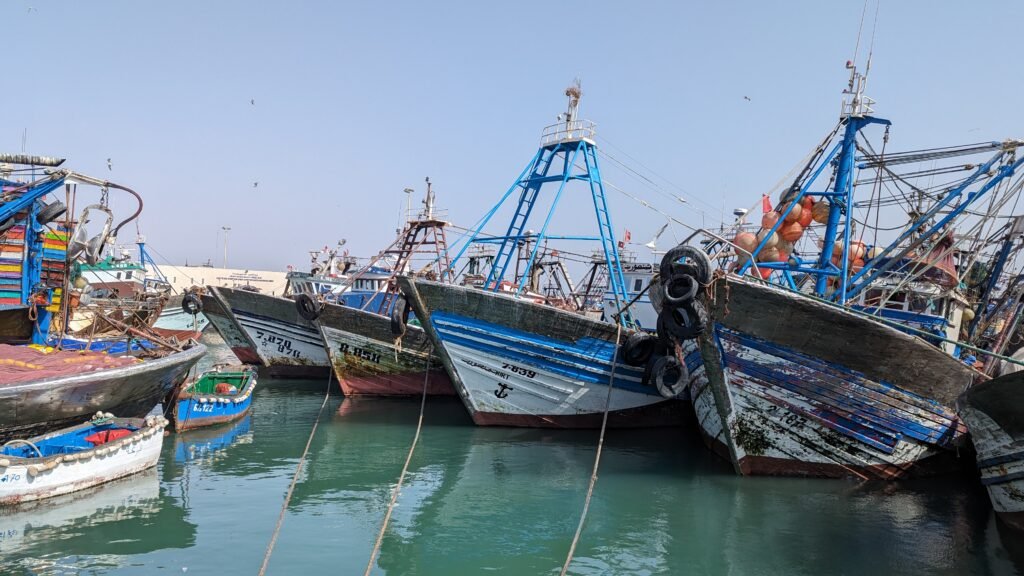 pxl 20240526 154953154.mp