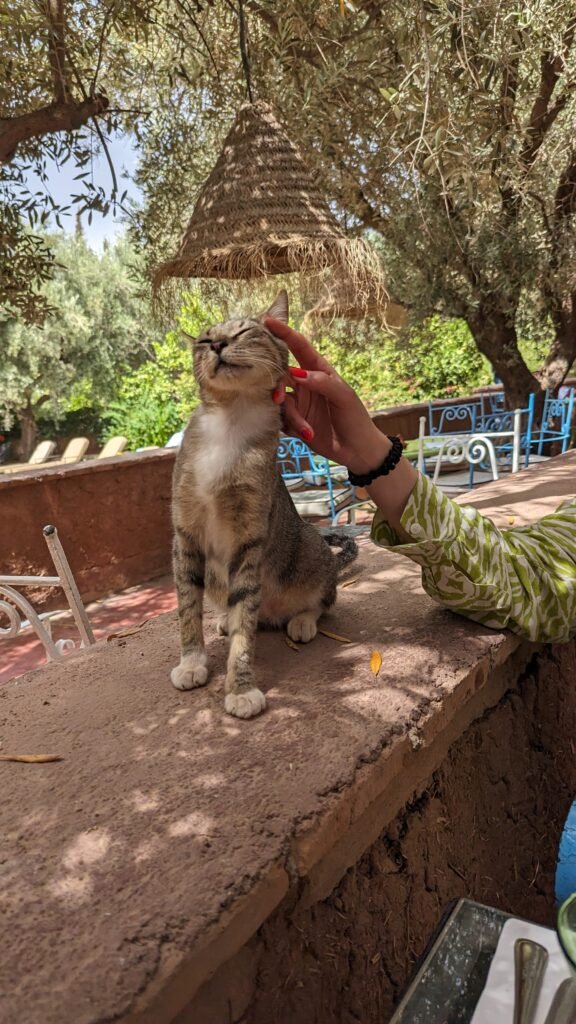 pxl 20240529 142212641.mp